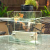 Irradia Tabletop Fireplace by Nu-Flame